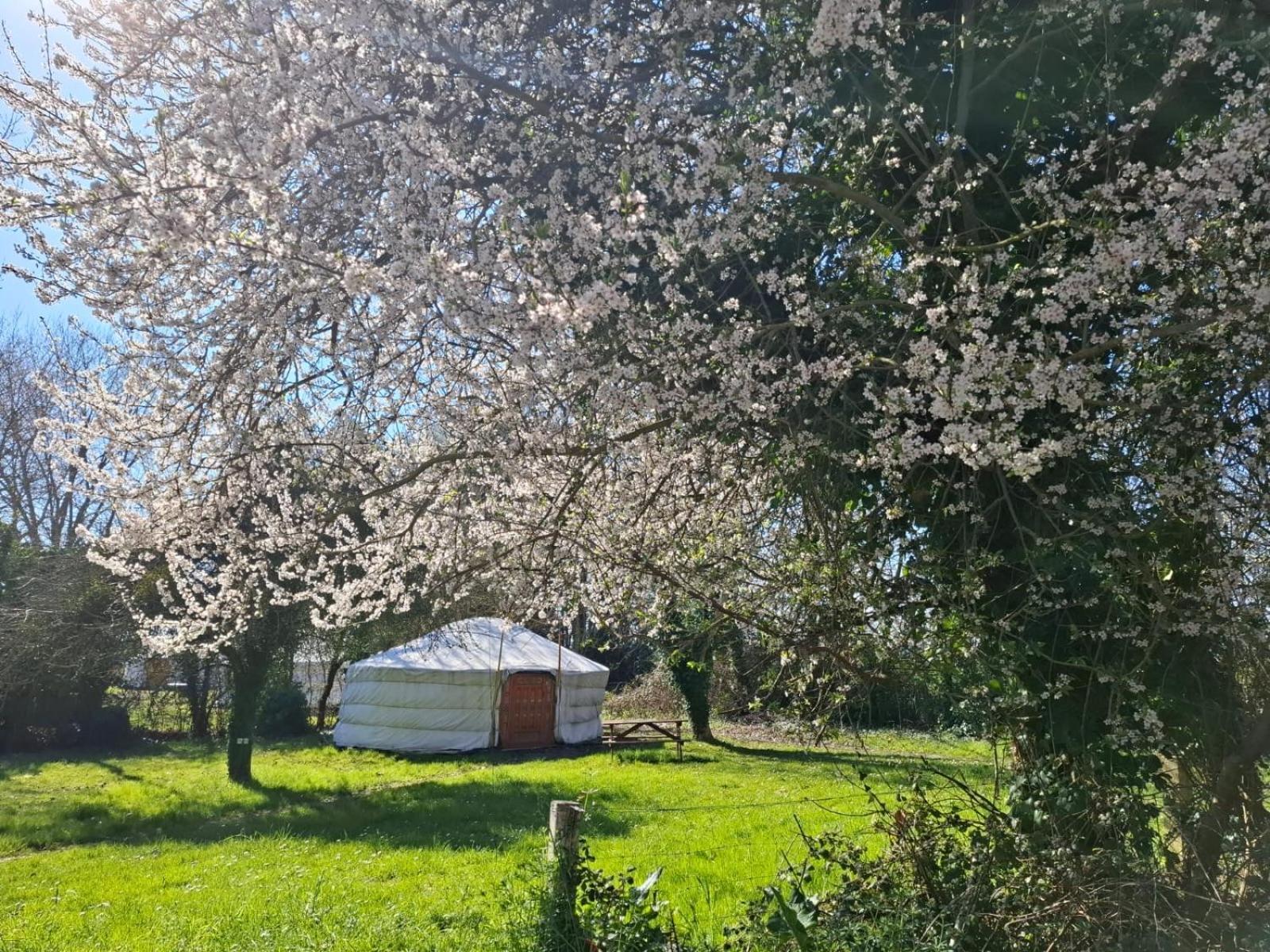 Le Village Insolite Yourte Et Roulotte Saint Benoit des Ondes Bagian luar foto