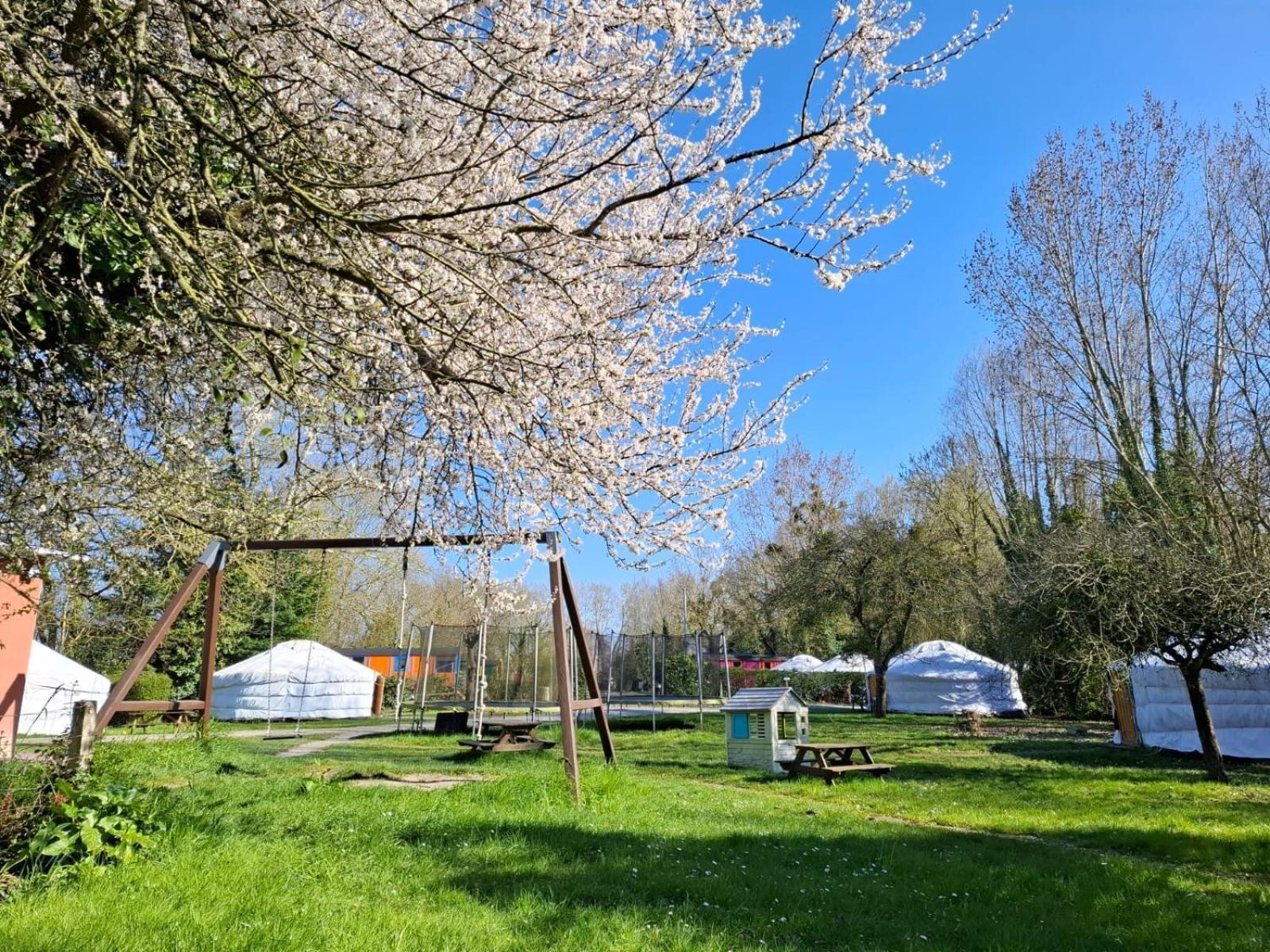 Le Village Insolite Yourte Et Roulotte Saint Benoit des Ondes Bagian luar foto